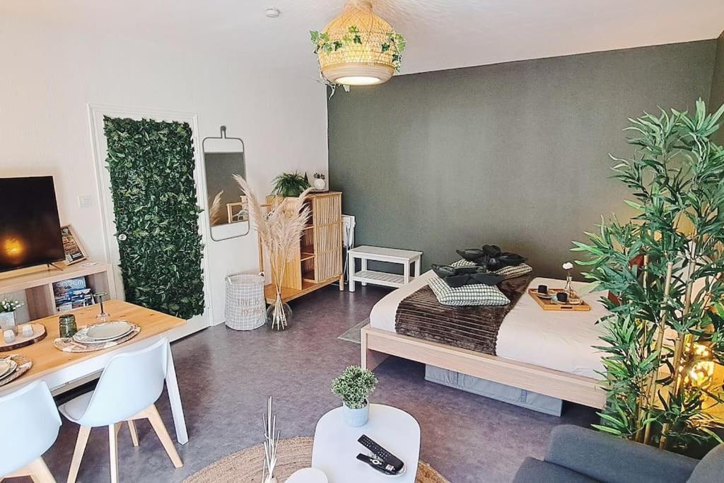 Petit Cocon Nature Centre-Ville 콜마 외부 사진